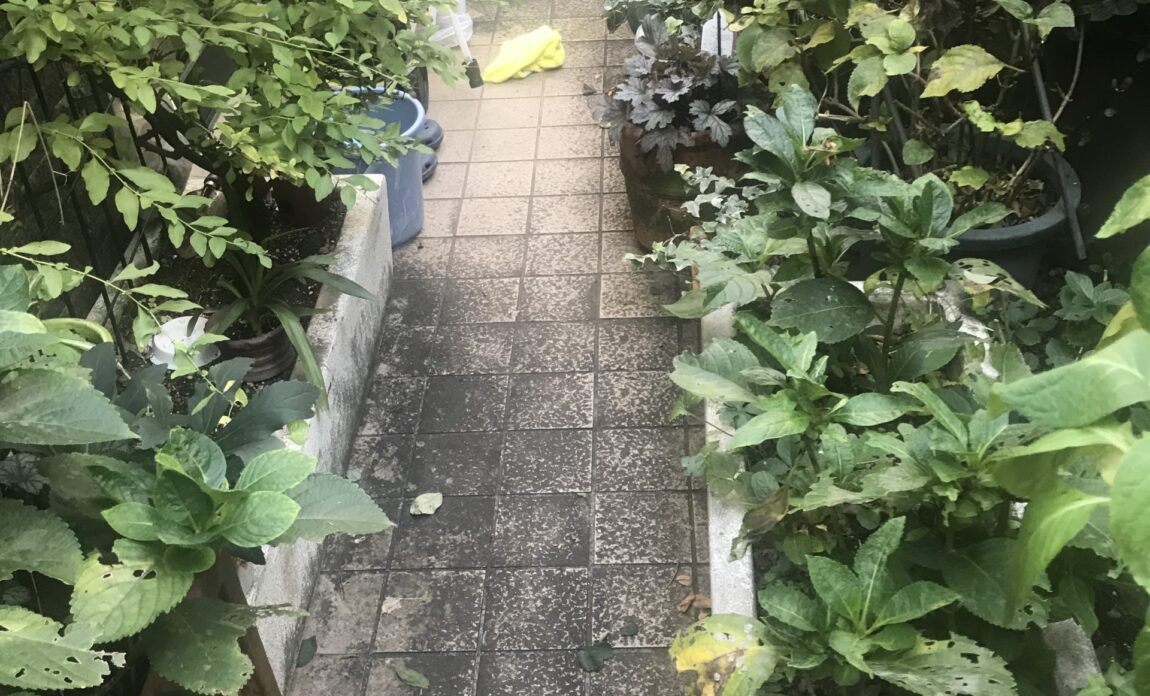 東京都三鷹市 特殊清掃 作業前
