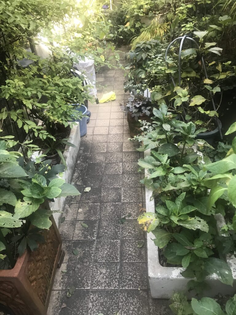 東京都東村山市 ハウスクリーニング 作業前