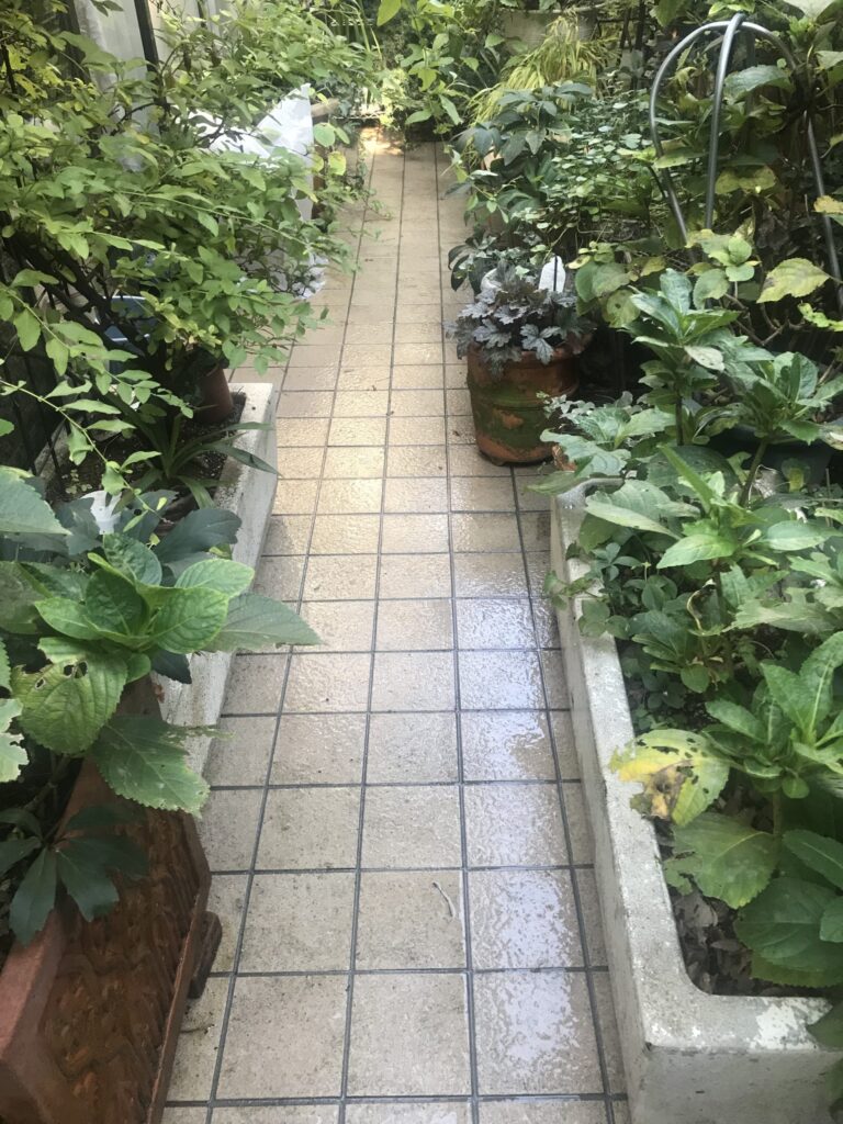 東京都東村山市 ハウスクリーニング 作業後