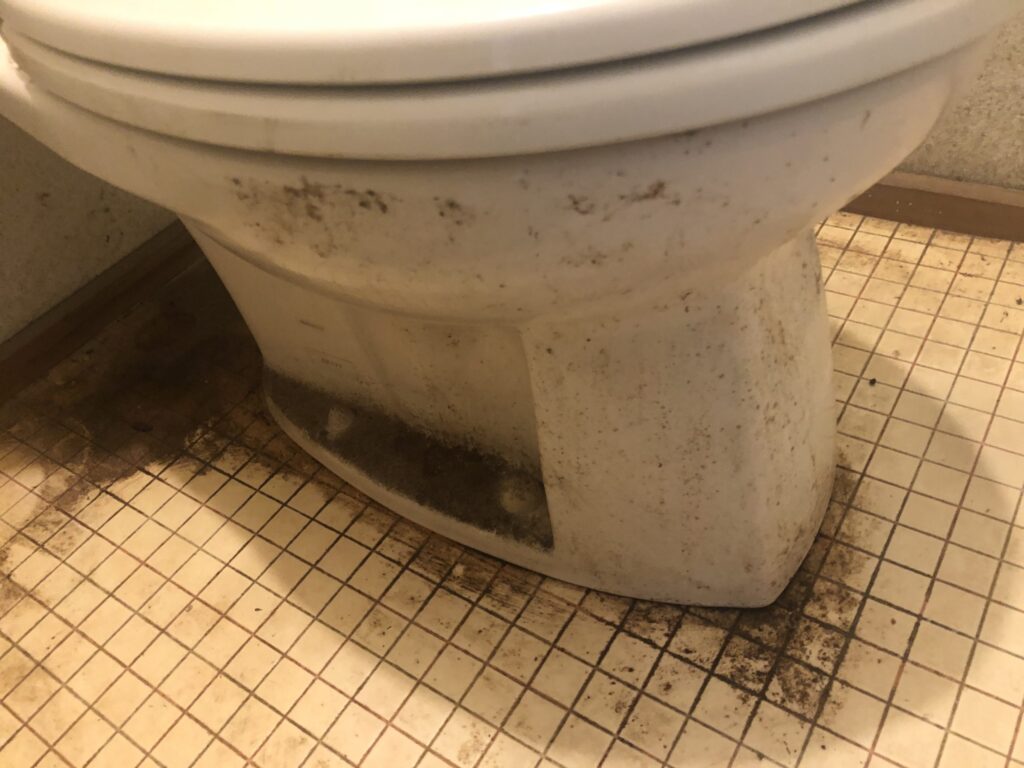 東京都東村山市 ハウスクリーニング トイレクリーニング 作業前