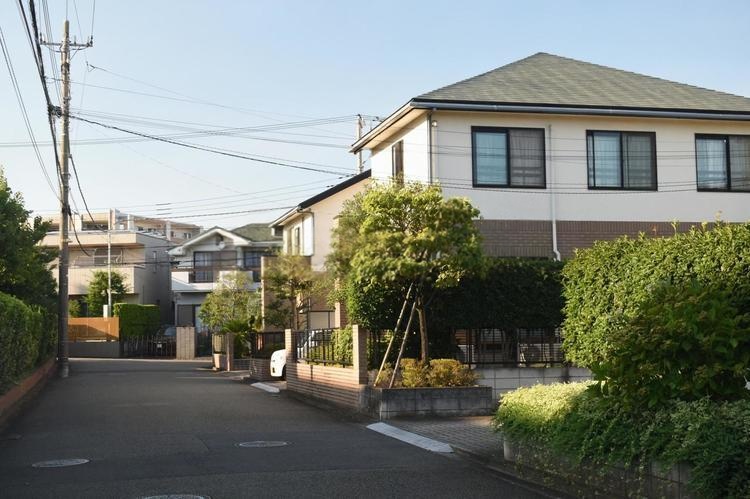 青葉の街並み風景写真