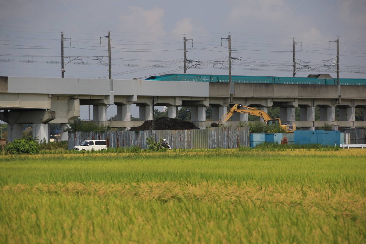 伊奈町の街並み風景写真