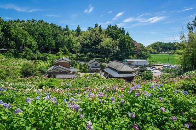 茂原市の街並み風景写真