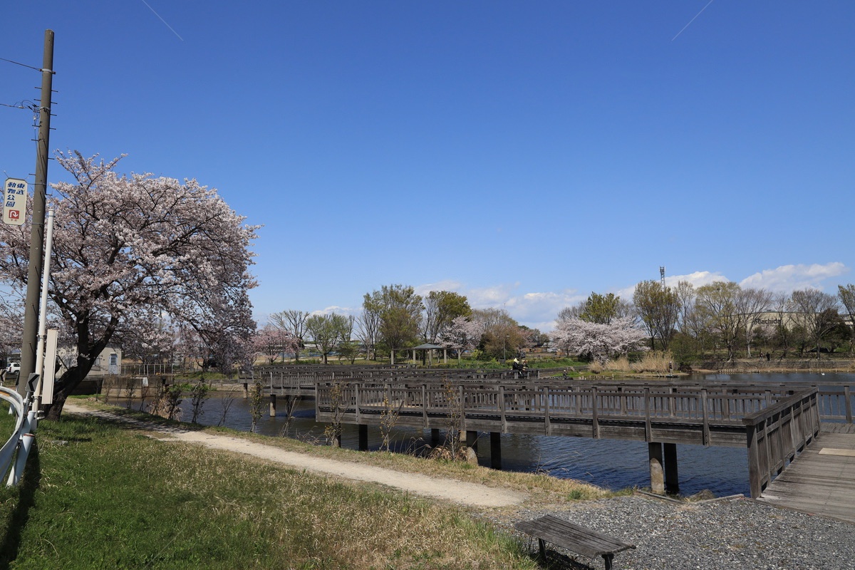 白岡市の街並み風景写真
