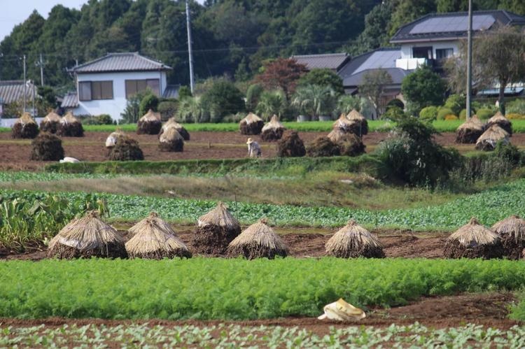 八街市の街並み風景写真