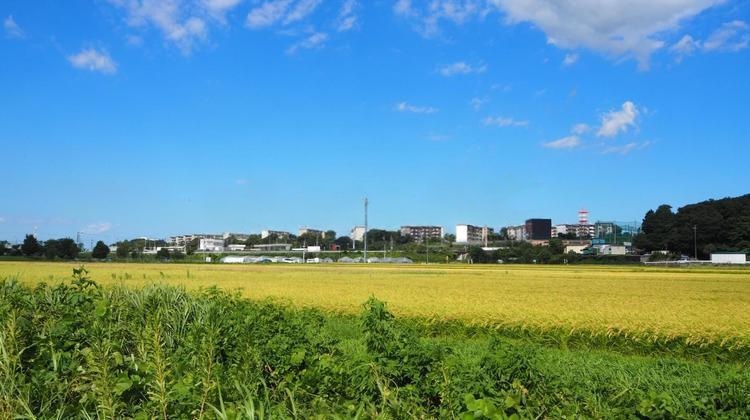 八千代市の街並み風景写真