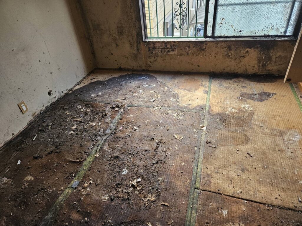 東京都小金井市 ゴミ清掃,汚物処理,特殊清掃 作業後